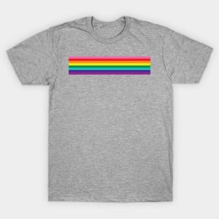 Baker and Segerblom's 1977 Pride Flag T-Shirt